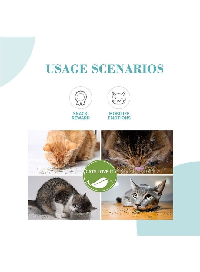 Bioline Catnip Leaves 100% Natural Cat Enrichment 30g From Varmacy - Image 3