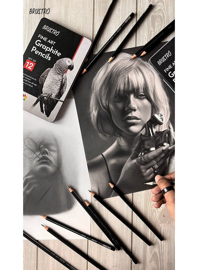 BRUSTRO Fine Art Graphite Pencil - Set of 12 (10B - 2H) with Mechanical Precision Retractable Eraser(2.3mm) | Ideal for Drawing,Sketching,Mandala,Shading,Artwork, Beginners, Artists and Professionals - Image 4
