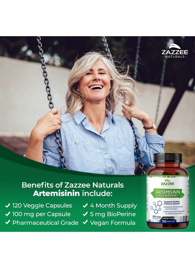 Zazzee - Artemisinin 100 Mg Per Capsule 120 Vegan Capsules 4 Month Supply Plus 5 Mg Bioperine For Enhanced Absorption Sweet Wormwood Extract Vegan And Nongmo - Image 1