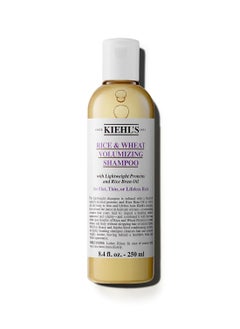 Kiehl's Rice and Wheat Volumizing Shampoo, Gentle Hair Shampoo for Thin or Flat Hair, Helps Boost Volume for Thicker Looking Hair, with Lightweight Proteins and Rice Brain Oil - 8.4 fl oz