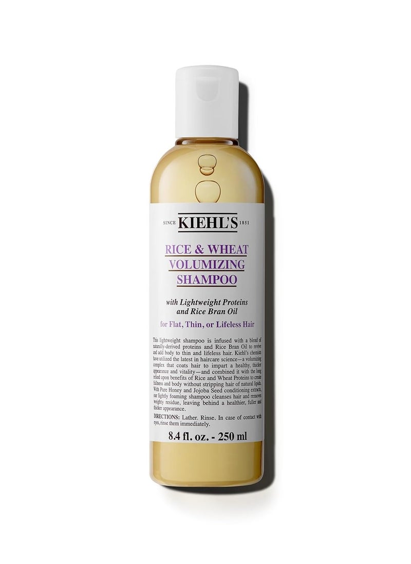 Kiehl's - Kiehl's Rice and Wheat Volumizing Shampoo, Gentle Hair Shampoo for Thin or Flat Hair, Helps Boost Volume for Thicker Looking Hair, with Lightweight Proteins and Rice Brain Oil - 8.4 fl oz - Image 1