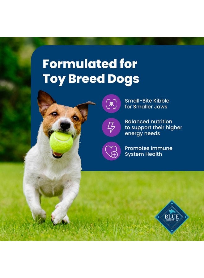 Blue Buffalo Life Protection Formula Toy Breed Adult Dry Dog Food, Supports High Energy Needs, Made with Natural Ingredients, Chicken & Brown Rice Recipe, 4-lb Bag - Image 5