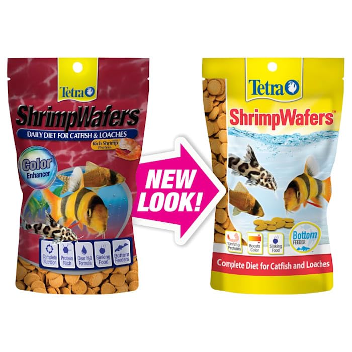 Tetra ShrimpWafers Complete Diet for Catfish and Loaches 3 Ounce - Image 2