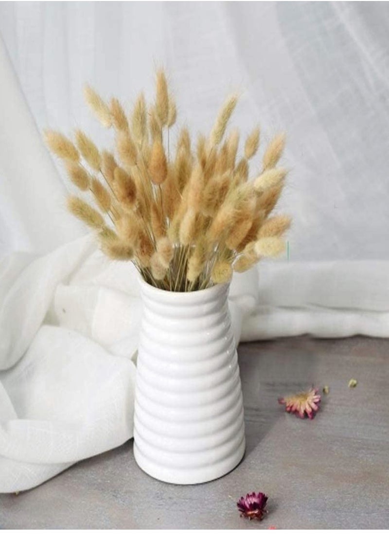 Excefore - Dried Rabbit Tail Grass,  60 Pcs Natural Dry Grass Dried Flowers Bouquet, Wedding Dry Flower Bunch, for Home Garden Party Decor, Flower Arrangement - Image 1