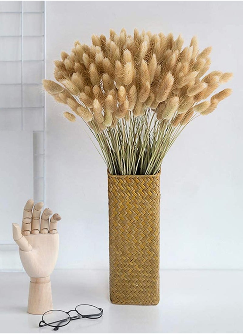 Excefore - Dried Rabbit Tail Grass,  60 Pcs Natural Dry Grass Dried Flowers Bouquet, Wedding Dry Flower Bunch, for Home Garden Party Decor, Flower Arrangement - Image 1