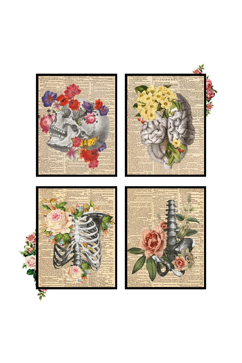 Insire Anatomy Art, Anatomy Wall Art, Medical Art Wall Decor, Human Anatomy Decor, Anatomy Pictures Wall Decor, Anatomy Posters Aesthetic, Skull Pictures - Unframed (8x10”) - Image 1