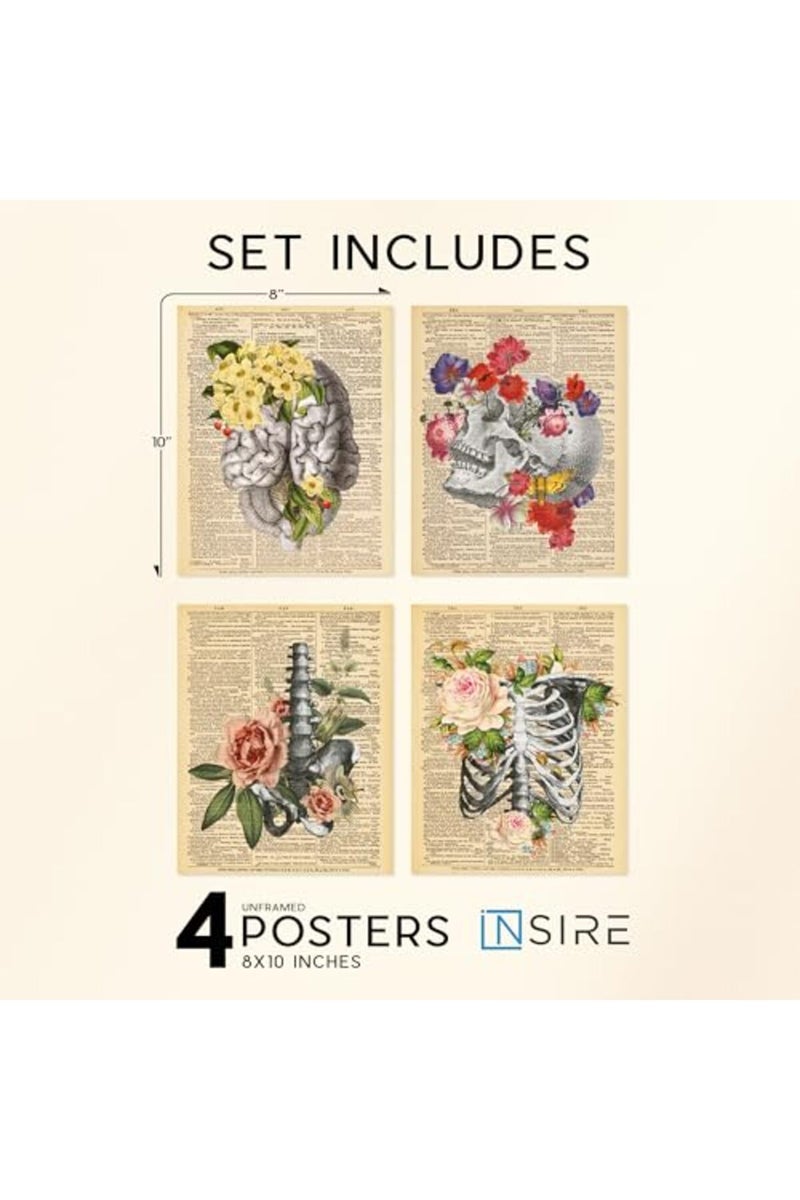 Insire Anatomy Art, Anatomy Wall Art, Medical Art Wall Decor, Human Anatomy Decor, Anatomy Pictures Wall Decor, Anatomy Posters Aesthetic, Skull Pictures - Unframed (8x10”) - Image 2