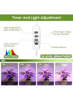 Plant Grow Light LED Growing Light Full Spectrum for Indoor Plants Height Adjustable Growth Lamp with 10 Adjustable Brightness 3912H OnOff Timer Idea for Large Plant Light 2 - pzsku/ZBD21390B43843307A4D2Z/45/_/1723589057/c9f1c5a2-9b62-46a8-bc55-dbbefdf83c74