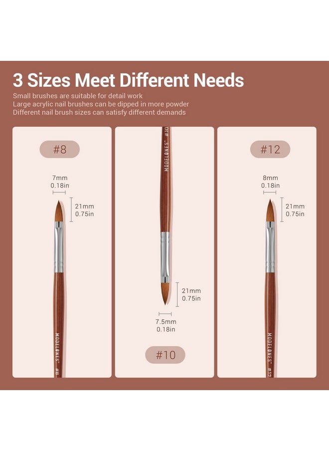 modelones - Modelones 3pcs Acrylic Nail Brush Set, Size 8/10/12 Kolinsky Acrylic Brushes for Acrylic Powder Application, Nail Extension, 3D Nail Carving, Round Shaped Nail Art Brushes with Wooden Handle - Image 1