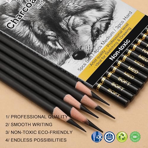 KALOUR Professional Charcoal Pencils Drawing Set -12 Pieces Soft, Medium and Hard Charcoal Pencils for Drawing, Sketching, Shading, Artist Pencils for Beginners & Artists - Image 2