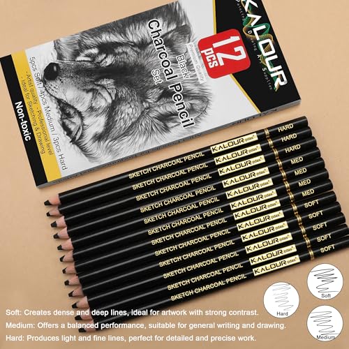 KALOUR Professional Charcoal Pencils Drawing Set -12 Pieces Soft, Medium and Hard Charcoal Pencils for Drawing, Sketching, Shading, Artist Pencils for Beginners & Artists - Image 3