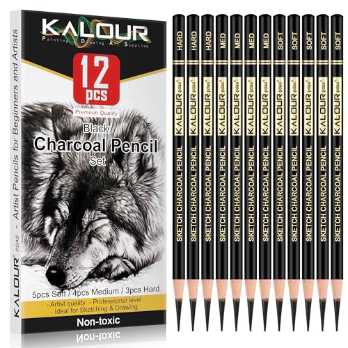 KALOUR Professional Charcoal Pencils Drawing Set -12 Pieces Soft, Medium and Hard Charcoal Pencils for Drawing, Sketching, Shading, Artist Pencils for Beginners & Artists - Image 1