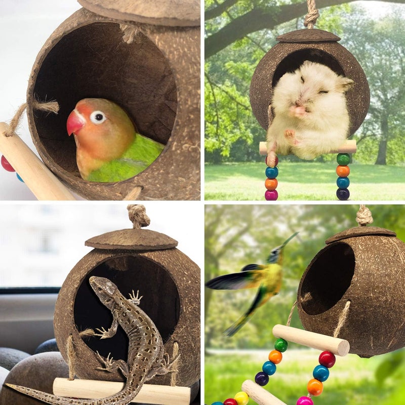 Eeaivnm Hanging Coconut Birds House with Ladder,Natural Coconut Fiber Shell Bird Nest for Parrot Parakeet Lovebird Finch Canary,Coconut Hide Birds Swing Toys for Hamster,Bird Cage Accessories,Pet Bird Supply - Image 3