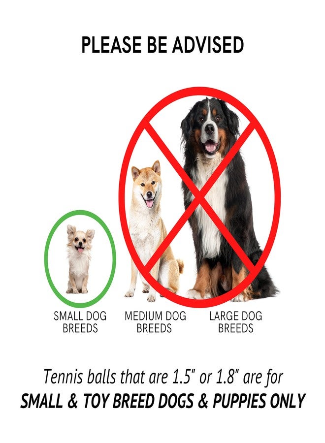 Midlee Merry Christmas Dog Tennis Balls Gift (Small) - Image 4