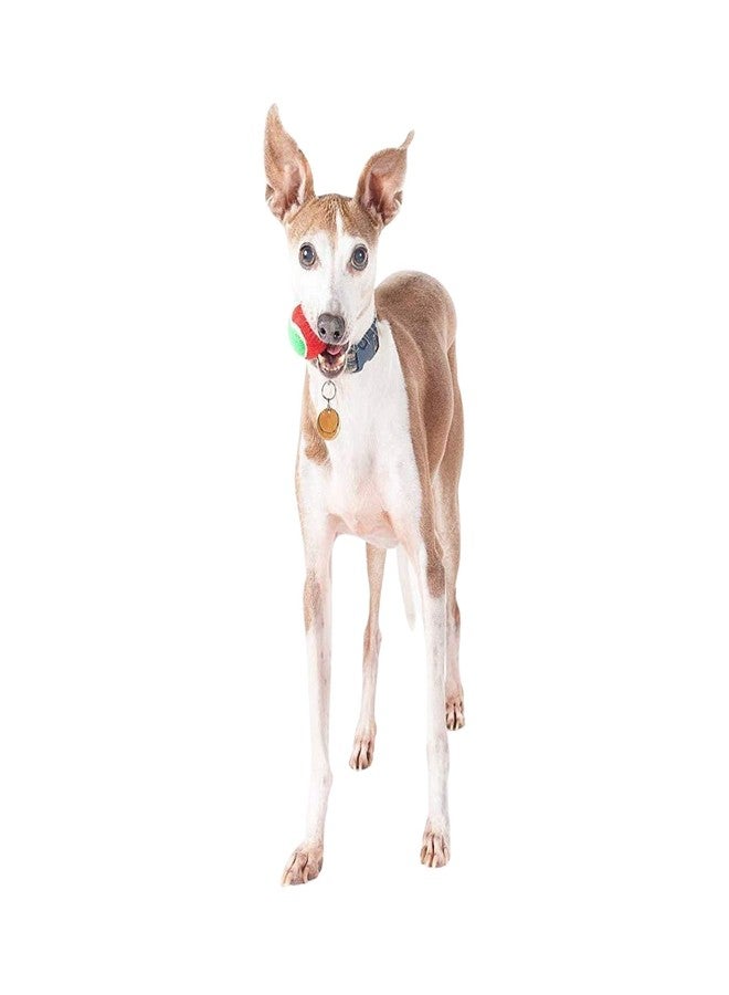 Midlee Merry Christmas Dog Tennis Balls Gift (Small) - Image 3