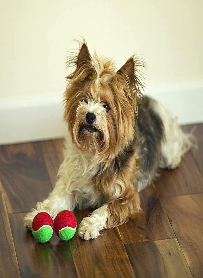 Midlee Merry Christmas Dog Tennis Balls Gift (Small) - Image 2