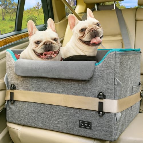 مقعد سيارة للكلاب PETSFIT للكلاب الصغيرة والمتوسطة مقعد سيارة للكلاب متوسطة الحجم مع 2 حزام أمان قابل للتثبيت وأقفال مسجلة براءة اختراع مقعد سيارة للحيوانات الأليفة مع جيوب تخزين للحيوانات الأليفة تحت 45 رطل رمادي
