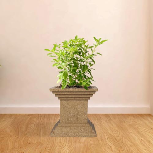 BonKaso 12 inch Beige Tulsi Pot – Tall, Durable & Lightweight German Polymer Planter for Indoor & Outdoor Use: Home, Office, Garden & Balcony (Gamla/Gamale) - Image 1