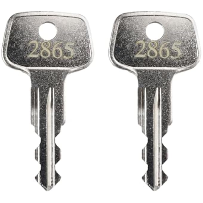 rayihni 2865 X-Cargo Roof Rack Key,X-Cargo Luggage Roof Key Karrite Ski Bike xcargo Carrier Skyline Sportrack XL,Replacement Keys for Sears XCargo Karrite SportRack Carriers(Code 2865-2 Pack) - Image 1