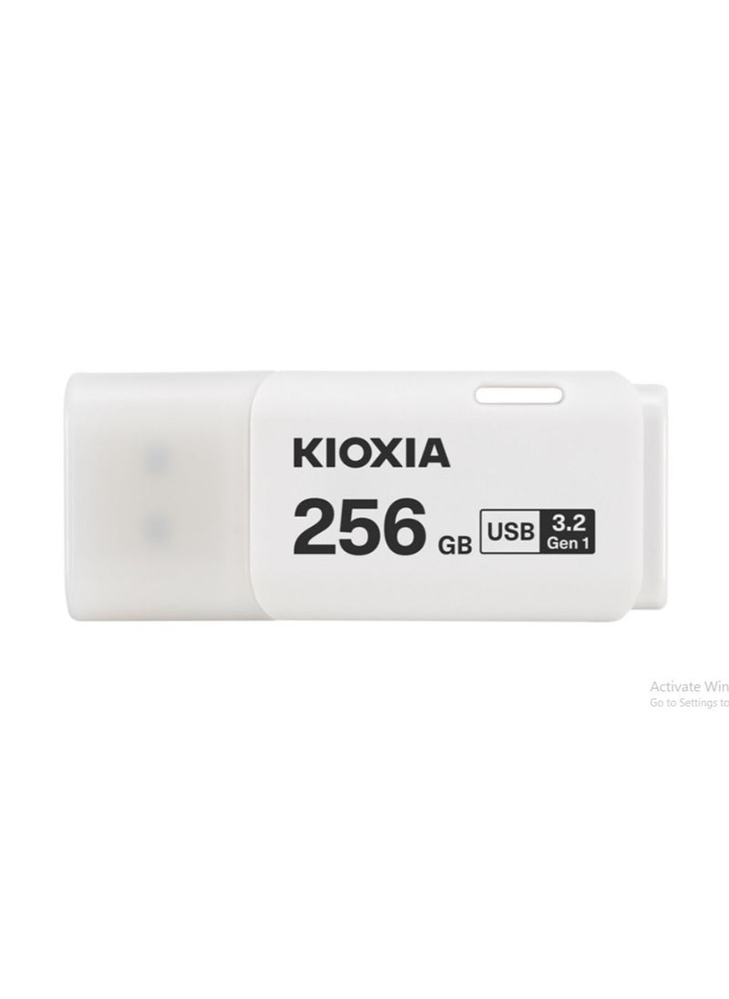 KIOXIA - TransMemory Flash Drive 256GB - Image 1