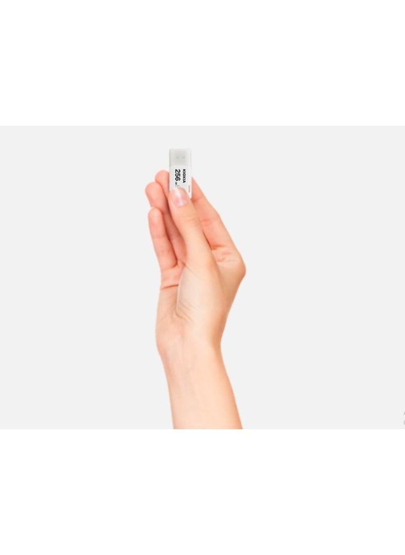 KIOXIA - TransMemory Flash Drive 256GB - Image 1