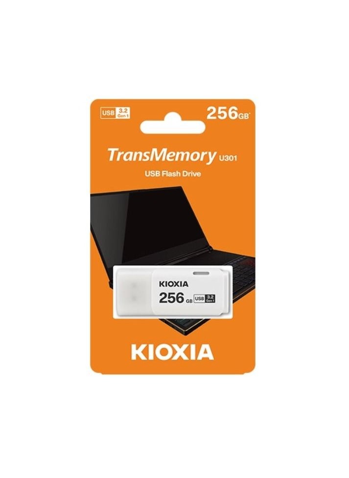 KIOXIA - TransMemory Flash Drive 256GB - Image 1