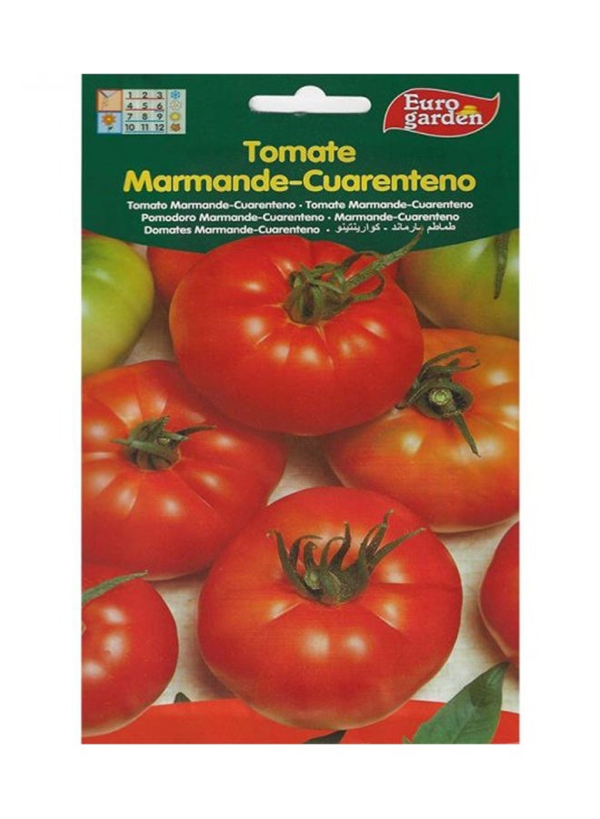 Euro Garden Euro Garden Tomato Marmande  - Image 1