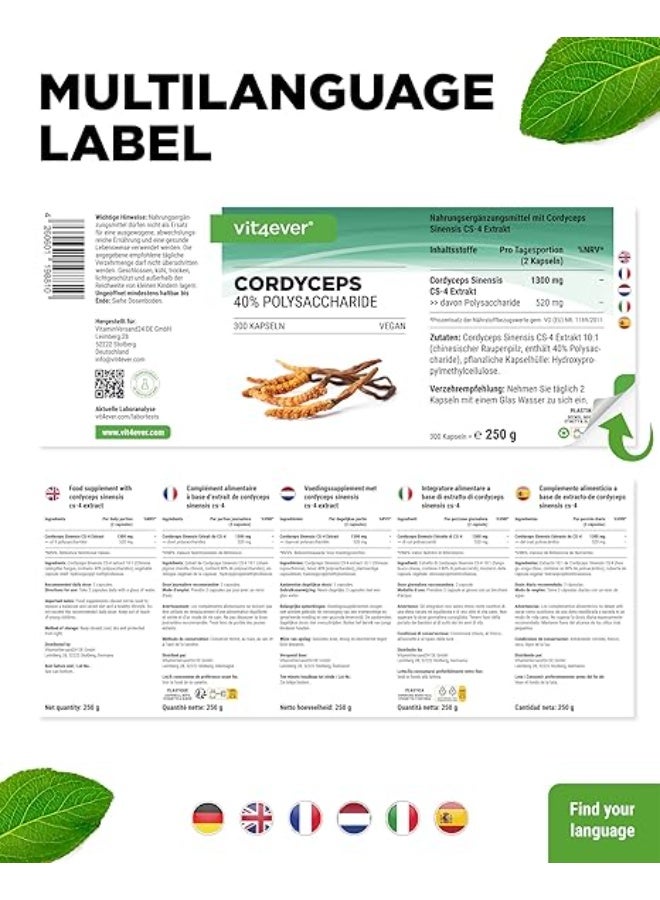 Vit4ever Cordyceps Mushroom – 650 mg – Supports Energy, Stamina & Immune Health – 300 Capsules – Made in Germany - Image 5