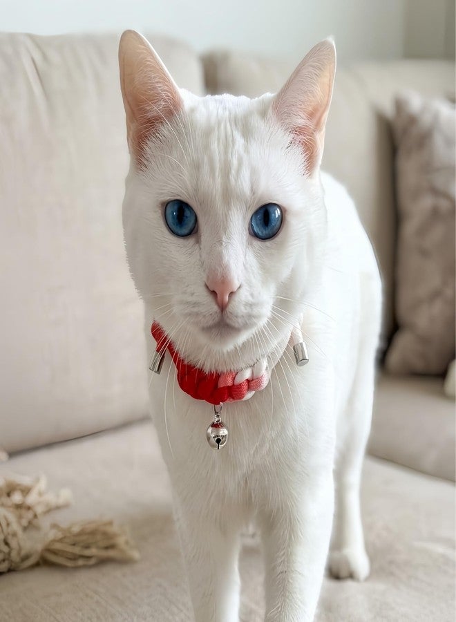 ChurroPet Cat Collar with Bell, Cute Adjustable Cotton Kitten Collar, Soft Lightweight Slip On Collar for Indoor Cats, Handmade in California (Red Ombre+Silver Bell) - Image 3