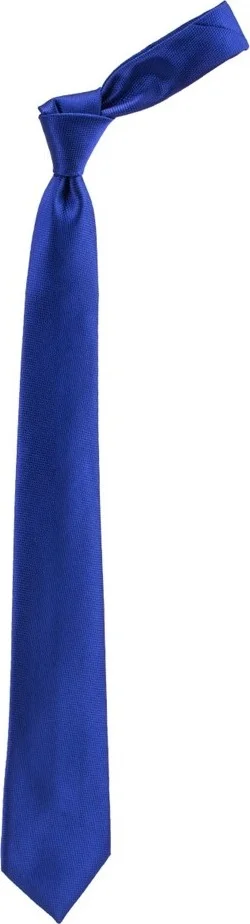 تودورس Classic Handkerchief Men's Tie