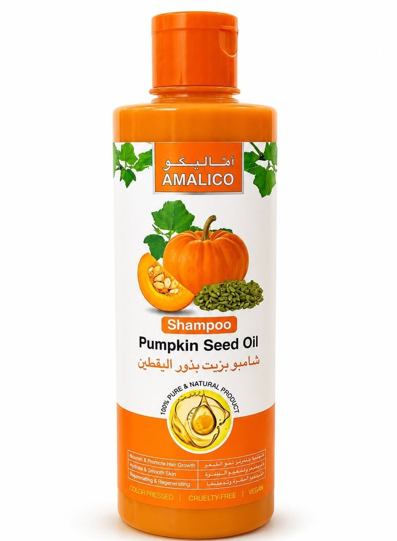 AMALICO Pumpkin Seed Oil Shampoo 500 ml - Image 1