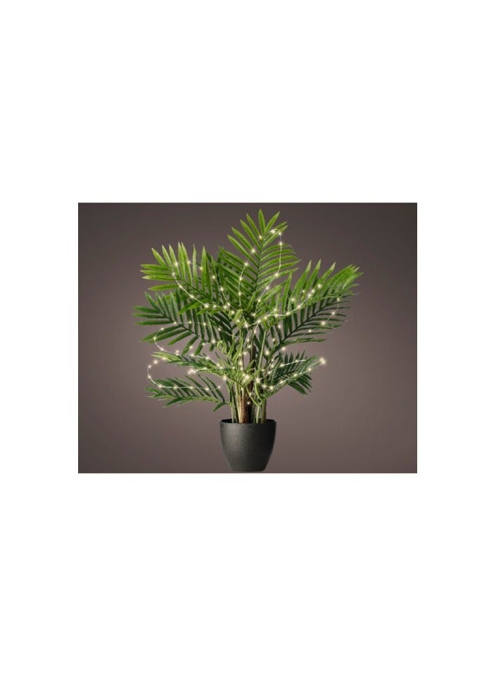 Kaemingk outdoor Micro LED plant lights steady -warm white - Image 3