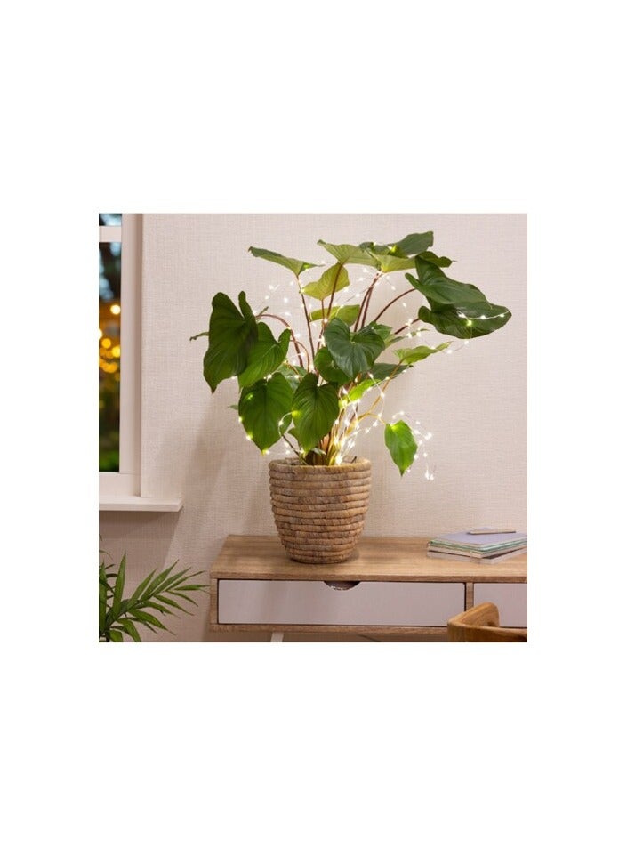 Kaemingk outdoor Micro LED plant lights steady -warm white - Image 4