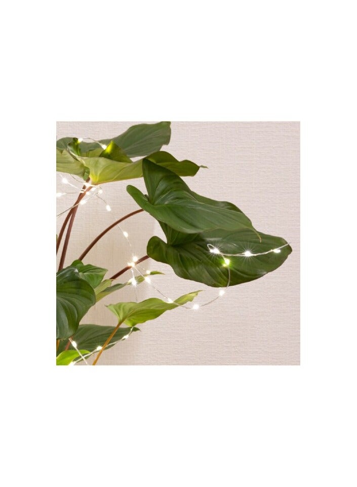 Kaemingk outdoor Micro LED plant lights steady -warm white - Image 5