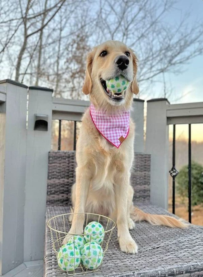Midlee St. Patrick's Day Shamrock Dog Tennis Balls (Regular) - Image 5