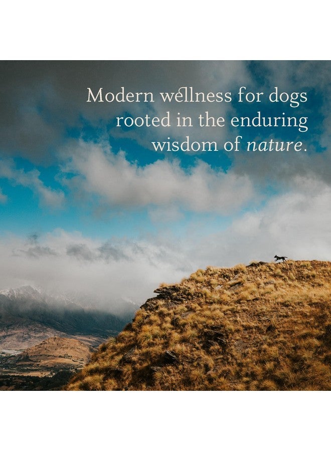 MoKo - Dog Paw Wax 60 g (2.1 oz) - Moisturizing Dog Paw Balm with Manuka Honey - Creates Barrier That Protects and Heals Dry Cracked Paws & Noses - Made with Natural Beeswax - Image 2