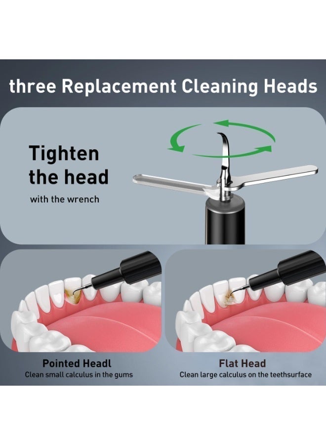 Bukela Plaque Remover for Teeth , Tartar Remover for Teeth, Dental Calculus Remover Teeth Cleaning Kit 4 Speed Modes with 4 Replaceable Heads, IPX6 Waterproof with LED Light - Image 2