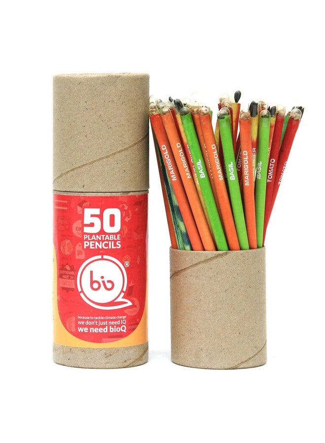 bioQ Box of 50 Plantable Pencils With Seeds| Eco Friendly Stationary | Recycled Paper Bulk Packaging | Grow Plants From Pencils - Image 1