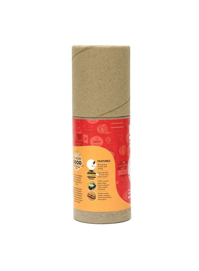 bioQ Box of 50 Plantable Pencils With Seeds| Eco Friendly Stationary | Recycled Paper Bulk Packaging | Grow Plants From Pencils - Image 3
