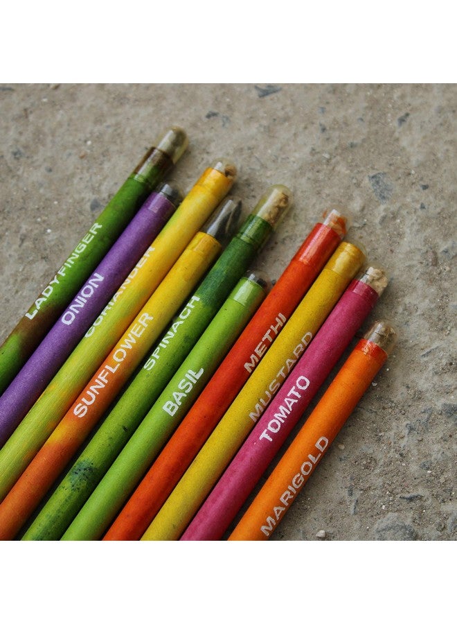 bioQ Box of 50 Plantable Pencils With Seeds| Eco Friendly Stationary | Recycled Paper Bulk Packaging | Grow Plants From Pencils - Image 5
