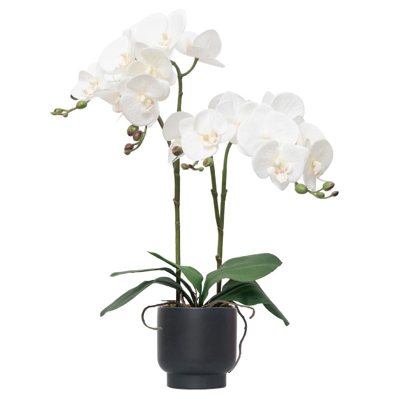 CXGS Orchids Artificial Flowers Real Touch Fake Flowers in Ceramic Pot 20 White Faux Orchid Plant Lifelike Silk Phalaenopsis for Centerpiece Hotel Home Indoor Decor