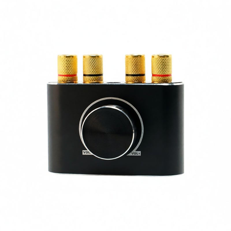 100W+100W BT 5.1 Wireless Audio Power Amplifier Portable Sound Amplifier Speaker Amp for Car and Home - Image 3