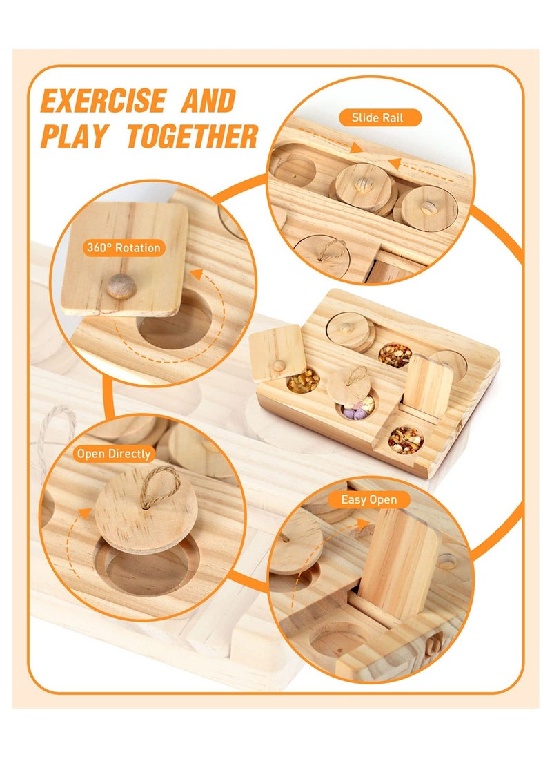 Generic - 6 in 1 Interactive Foraging Toys for Hamsters Rabbits and Small Pets Mental Stimulation Enrichment Play - Image 1