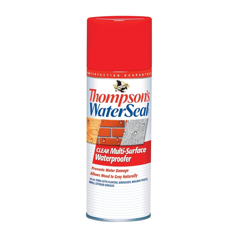 Thompson's WaterSeal Clear Multi-Surface Aerosol Waterproofer - 12 oz - Image 1