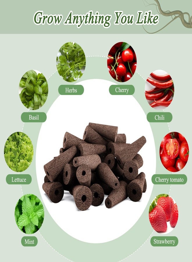 Tigvio 66pcs Hydroponic Seed Pod Kit - Compatible with Aerogarden and All Brands - Grow Anything Indoor Garden System - Includes 15 Grow Sponges, 15 Baskets, 20 Labels and Tweezer for Easy Planting - Image 4
