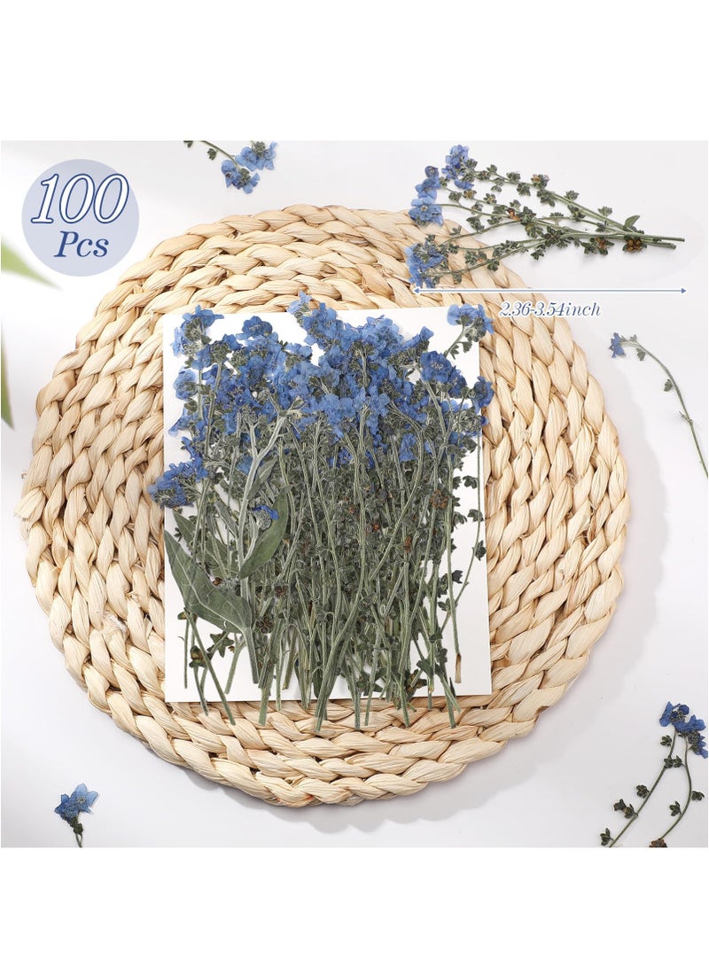 Zikra 100 Pcs Natural Forget Me Not Pressed Dried Flowers Dried Flower Real Dried Flowers for Resin Jewelry Candle Card Making Nail Art Flowers DIY Home Decoration for Indoor Outdoor Garden Porch Window - Image 3