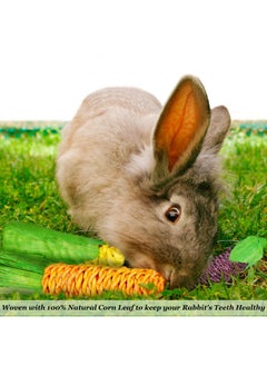 SunGrow Natural Veggie Chew Toys For Rabbits, 5.2 Inches, Woven With 100% Organic Material, Stimulate Your Bunny Rabbits, Bright, Entertaining And Safe For Chewing, 3 Pieces  - Image 3