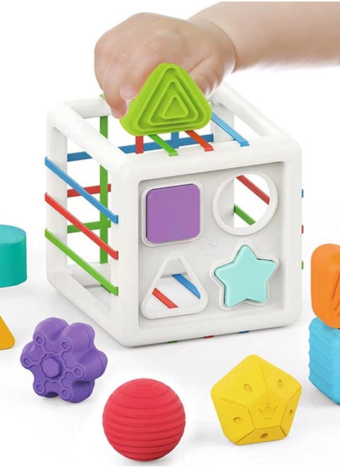 Montessori Toys for Babies 3 Months, Sensory Toys Shape Sorter | Toddler Developmental Learning Toys, Colorful Textured Balls