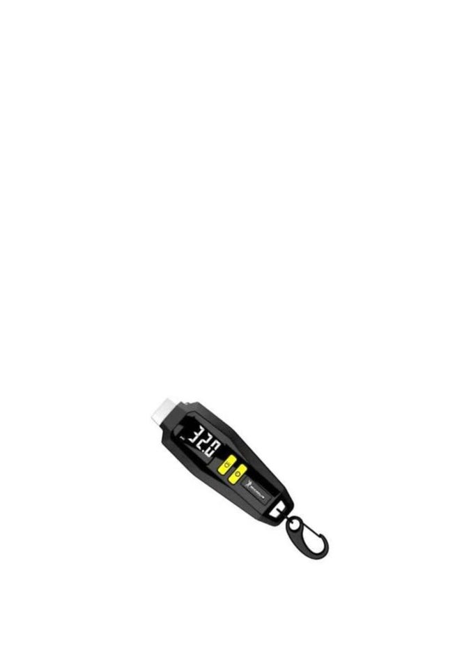 Michelin Digital Tyre Pressure Guage Digital With Keyring, 12290 - pzsku/ZBD3000270B1C8D1A92B3Z/45/_/1701415832/ee3a00d1-f4d2-4883-a65a-3441238af253