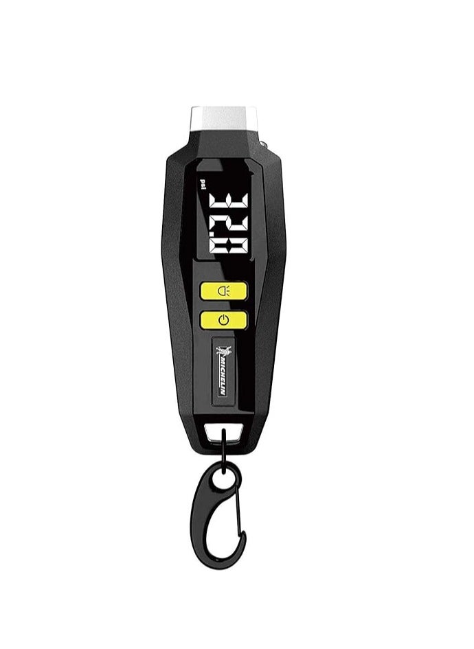 Michelin Digital Tyre Pressure Guage Digital With Keyring, 12290 - pzsku/ZBD3000270B1C8D1A92B3Z/45/_/1701415882/14bb1e17-bb3c-49a5-b11a-9f168028838e